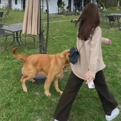 女人就是女人2018